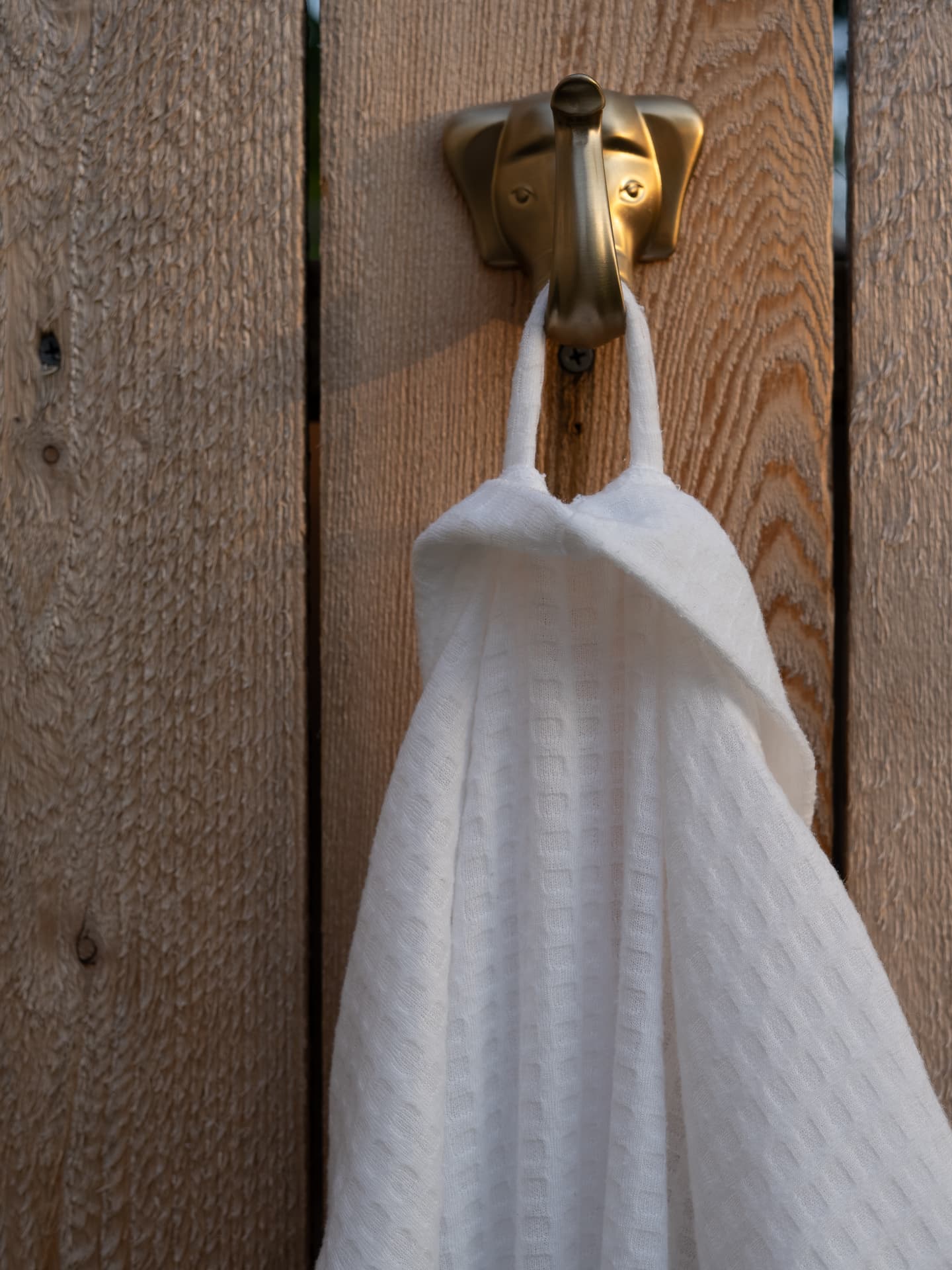 White towel on a brass hook against cedar